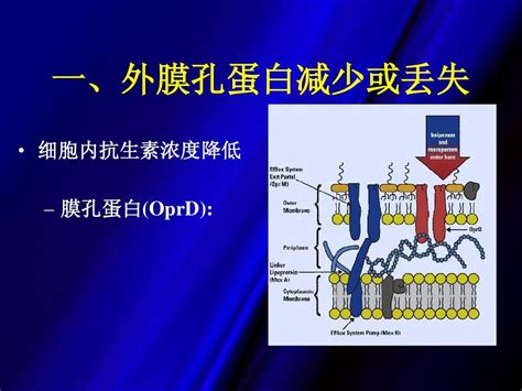  ネフェライン輝石！耐火性と化学的安定性を備えた驚異の鉱物とは？